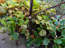 DSCN1807
