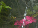 DSCN1814