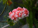 DSCN1823