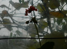 DSCN1824