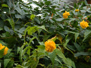 DSCN1831