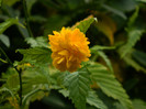 DSCN1832