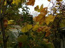 DSCN1833