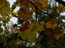 DSCN1836