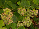 DSCN1853