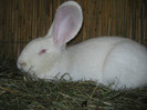 expo -10-11-2012 Efrding