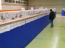 Prezentare
