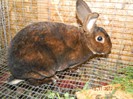 DSCN0263