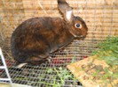 DSCN0264