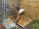 DSCN0267