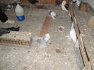 DSC07837