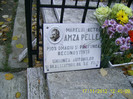 bellu (29)