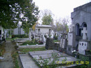 bellu (40)