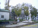 bellu (67)