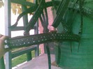 Poza(2359)