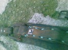Poza(2369)