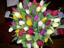 images (1)