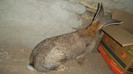 SAM_3451