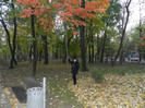 DSCN3641
