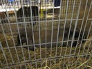 IMG_0136