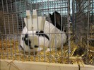 IMG_0150
