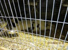 IMG_0151