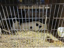 IMG_0153