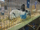 IMG_0154