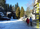 2011 01 PELES 043