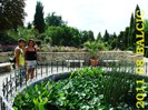 2011 08 BALCIC 005