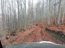 20121117_150751