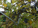DSCN2027