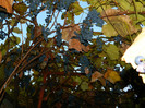 DSCN2028