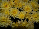 DSCN2031