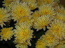 DSCN2033