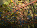 DSCN2042