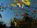 DSCN2043