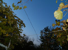 DSCN2044