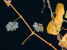 DSCN2047
