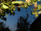 DSCN2048