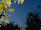 DSCN2050
