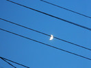 DSCN2063