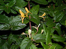 DSCN2072