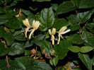 DSCN2073