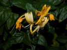 DSCN2074