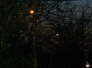 DSCN2081