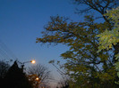 DSCN2083