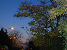 DSCN2084
