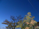 DSCN2087