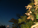 DSCN2088